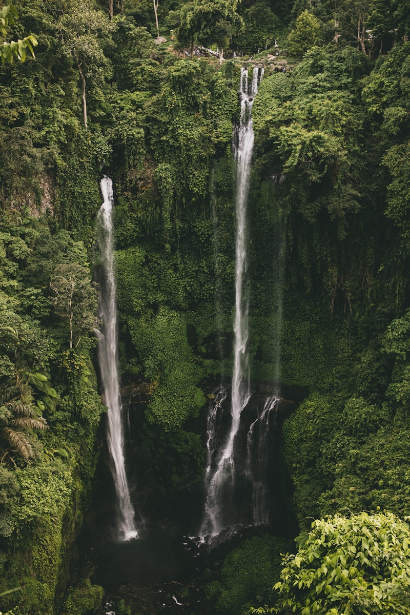 sekumpul twin waterfall